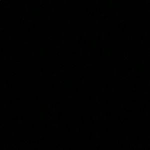 Meet your Posher, Nina